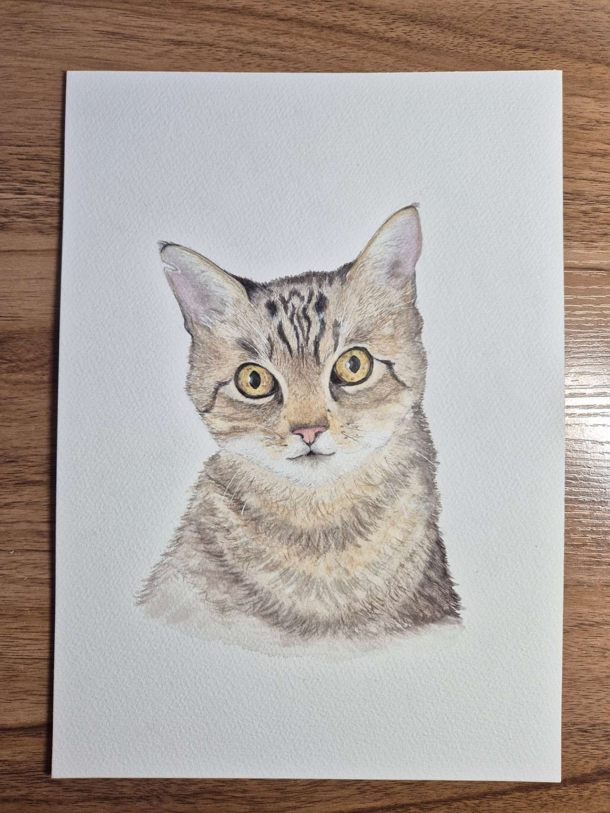 portoflio aquarelle chat